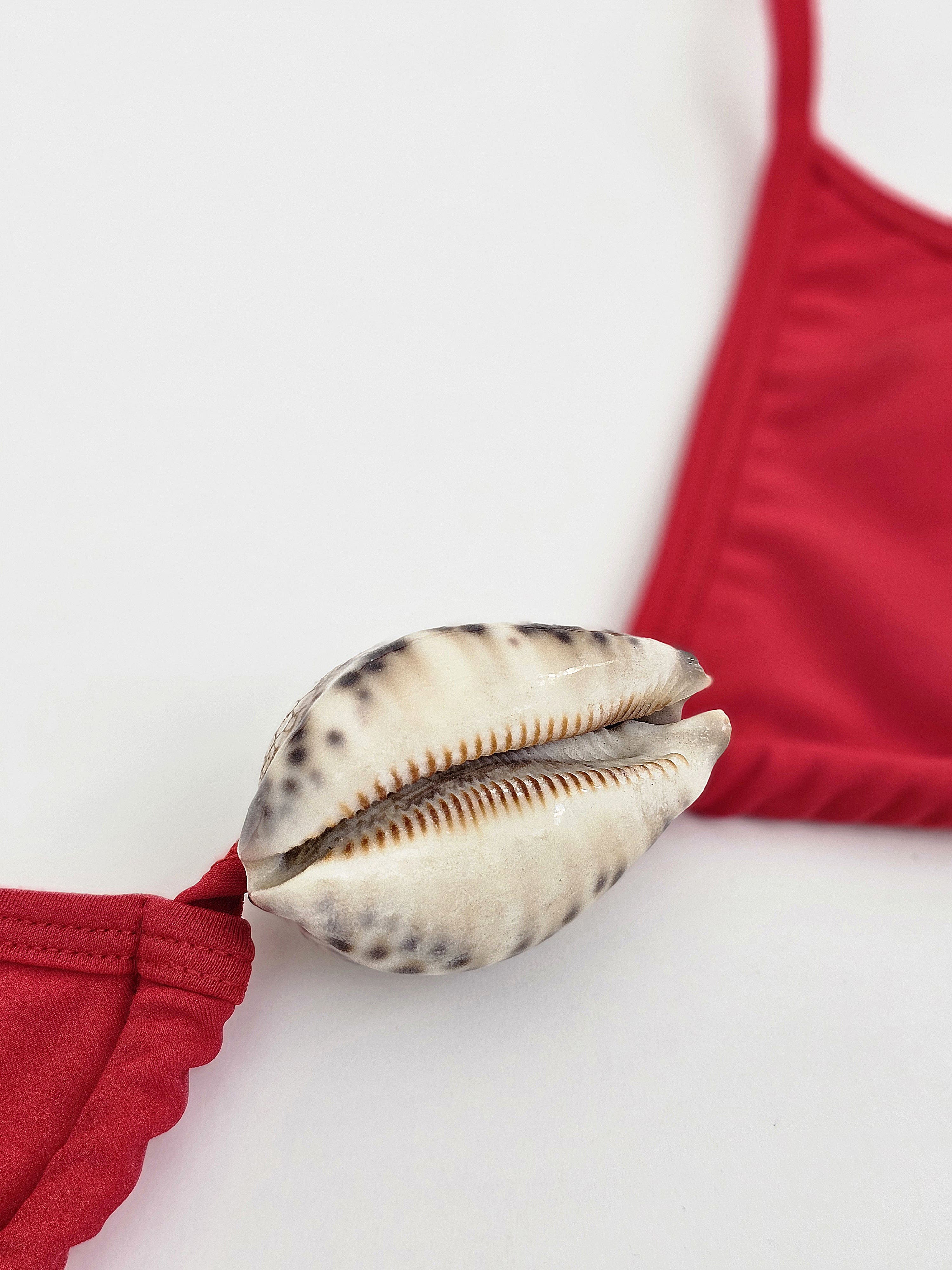 The Tiger Cowrie Edition Top