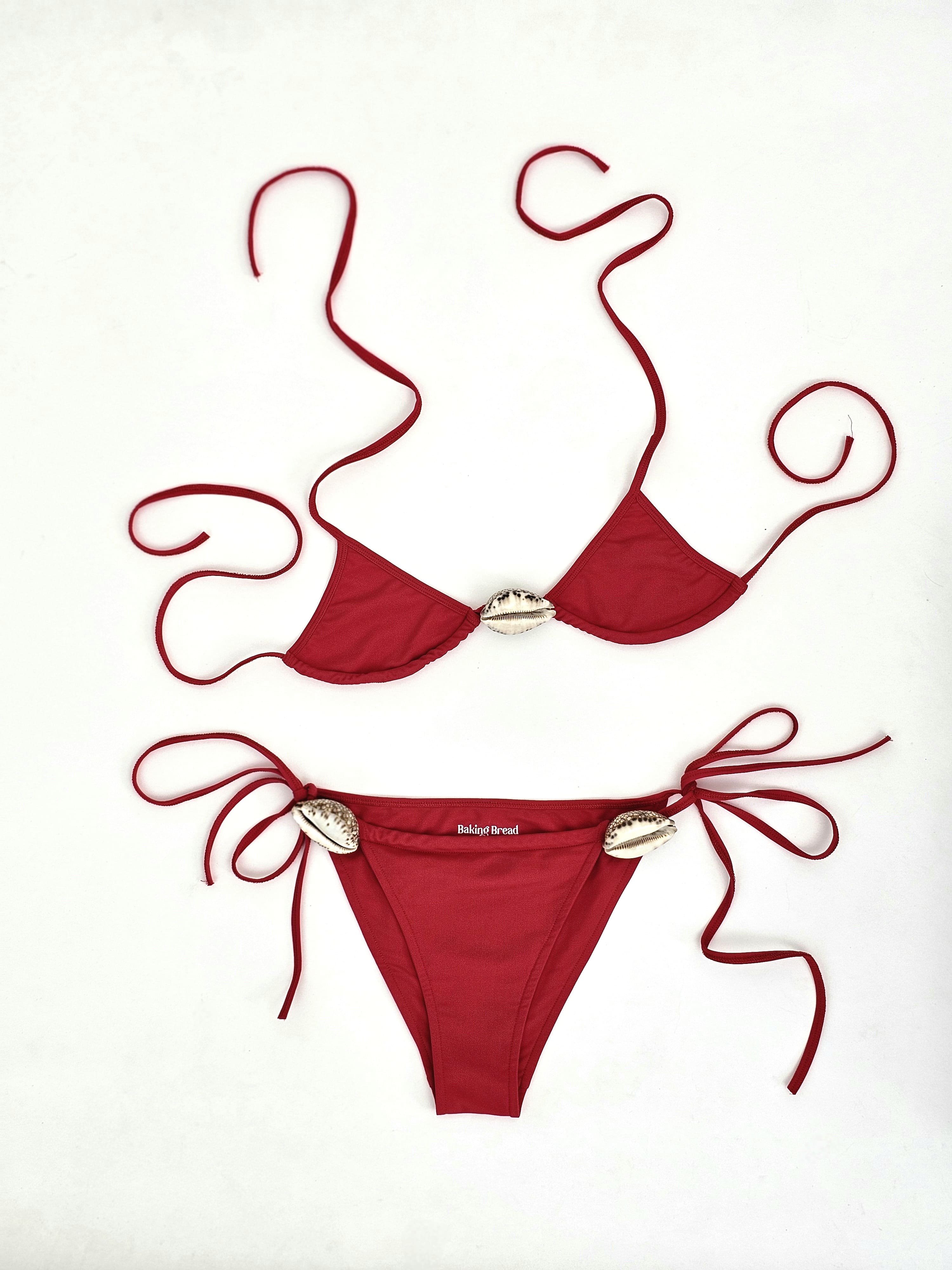 The Tiger Cowrie Edition Bottom